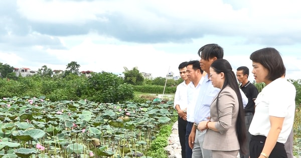 Hội Nông dân Ứng Hòa góp phần giảm ruộng hoang