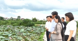 Hội Nông dân Ứng Hòa góp phần giảm ruộng hoang