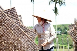 Thực hiện hiệu quả các chương trình, dự án giảm nghèo