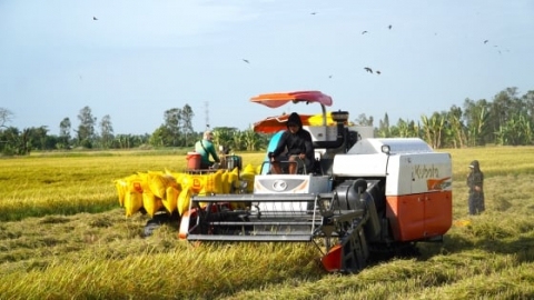 Xuất khẩu gạo Sóc Trăng lập kỷ lục