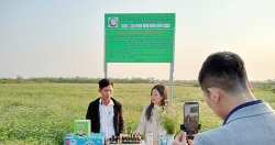 "Gieo mầm số" cho đất nghề Phú Xuyên