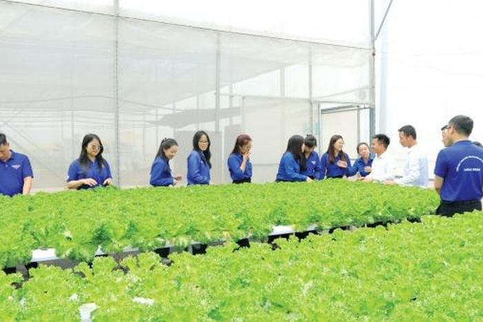 Tuổi trẻ Lâm Đồng học và làm theo Bác