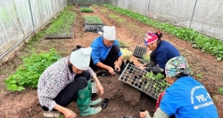 Nông nghiệp tạo không gian sống chất lượng cao