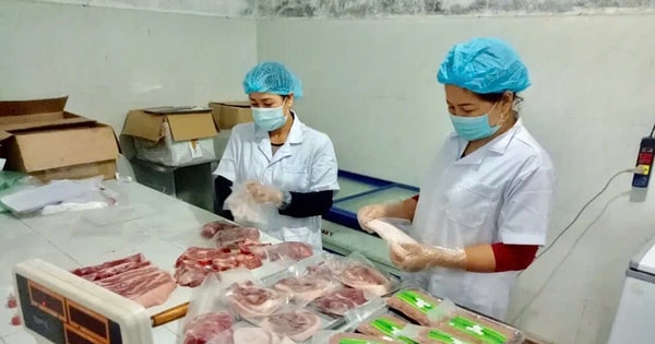 Sản xuất, tiêu thụ sản phẩm động vật theo chuỗi liên kết: Nâng hiệu quả kiểm soát chất lượng thực phẩm