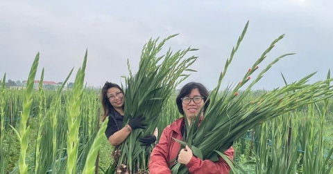 thuan an trien khai hieu qua nhieu mo hinh san xuat nong nghiep