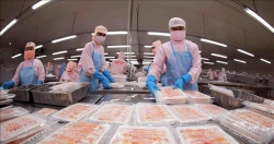 6 tháng, xuất khẩu nông lâm thủy sản ước tăng trên 14%