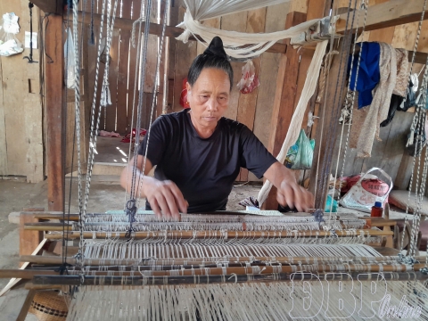 Nâng cao chất lượng hoạt động hợp tác xã