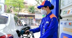 Dự báo giá xăng giảm nhẹ, giá dầu tăng trong chiều 24-7