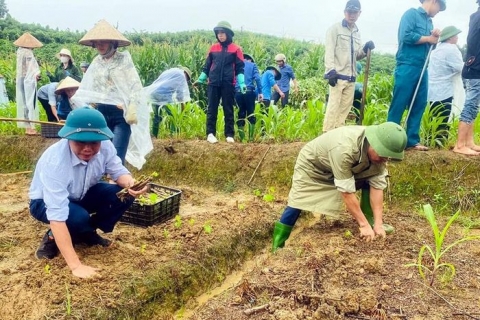 Xã Đông Cuông (Văn Yên) phát động chiến dịch "Ươm mầm dâu – đẹp, giàu quê hương"