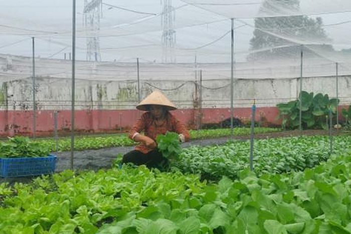 Phun tưới nước tự động trong sản xuất nông nghiệp: Hiệu quả cao Phun tưới nước tự động trong sản xuất nông nghiệp: Hiệu quả cao