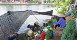 Đại hội đại biểu Đảng bộ xã Phúc Lộc lần thứ I, nhiệm kỳ 2025-2030: Hướng tới trung tâm nông nghiệp sinh thái kiểu mẫu của Thủ đô