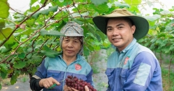 Vĩnh Thanh phát huy lợi thế ven đô, tạo đà bứt phá