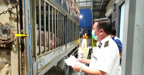 ngan chan thuc pham ban tu khau giet mo