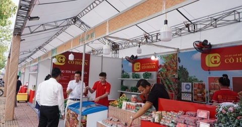 dong thap livestream ban san pham ocop va ket noi thi truong tieu thu