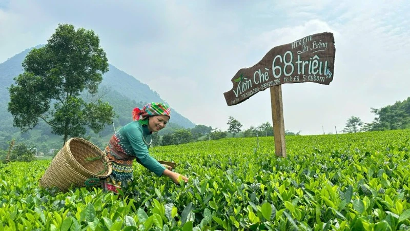 thai nguyen tao dot pha trong nhiem ky moi