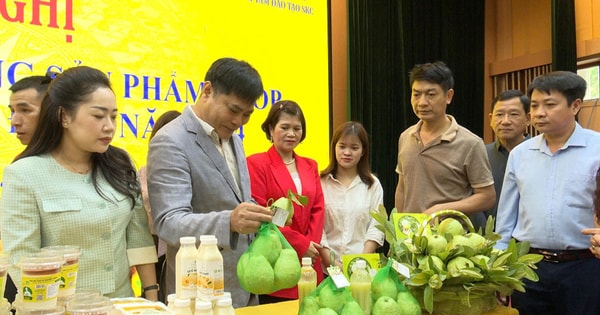 Hoài Đức: Đánh giá, phân hạng 17 sản phẩm OCOP