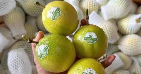 xuat khau rau qua lap ky luc moi