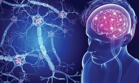 Bạn có biết ‘đường ruột’ ảnh hưởng lớn đến ‘sức khỏe tinh thần?’ Bạn có biết ‘đường ruột’ ảnh hưởng lớn đến ‘sức khỏe tinh thần?’