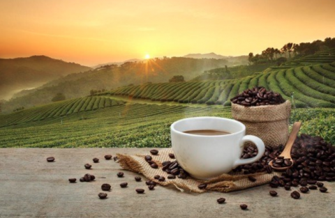 lam dong phat huy the manh vung dat cao nguyen tu san pham ocop