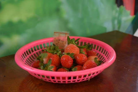 nam anh farm san pham ket tinh tu dat lanh