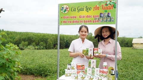 quang tri phat trien san pham ocop tu duoc lieu tai huyen cam lo