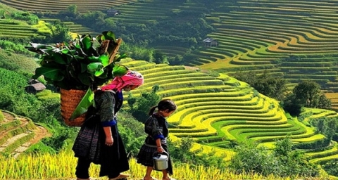nhieu hoat dong dien ra tai tuan du lich van hoa lai chau nam 2022