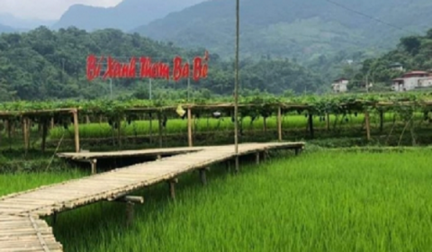 bac kan to chuc hoi nghi xuc tien tieu thu bi xanh thom va san pham ocop nam 2022