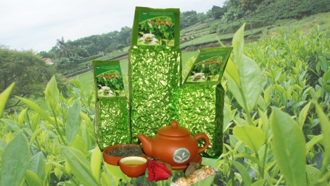che thai nguyen da duoc bao ho nhan hieu tap the tai 6 quoc gia