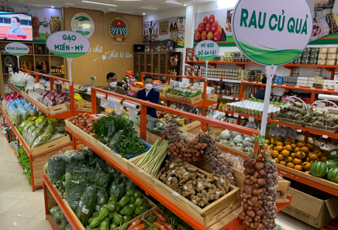 tuyen quang nang cao gia tri thuong hieu cho san pham ocop