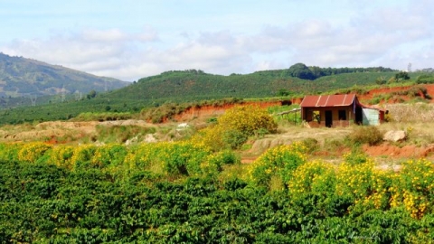 den lam dong kham pha ve dep cao nguyen di linh