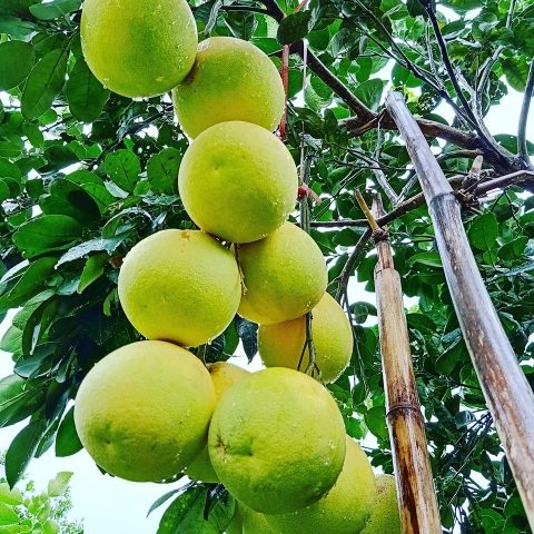 ha tinh ket noi dua buoi phuc trach len san thuong mai dien tu