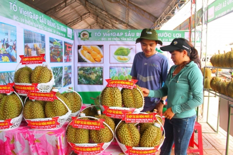 le hoi sau rieng krong pac lan thu i nam 2022 quy tu nhieu san pham dac trung vung mien