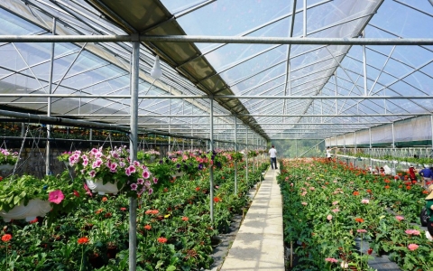 binh lieu quang ninh day manh phat trien cac san pham ocop