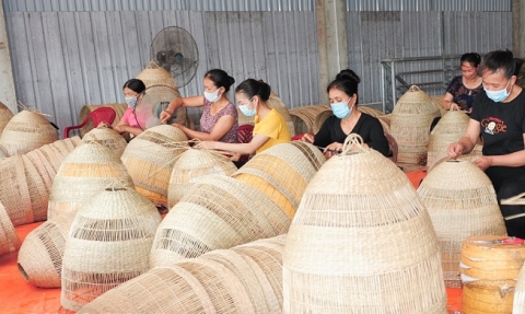 ninh binh ocop programme gives boost to rural economy