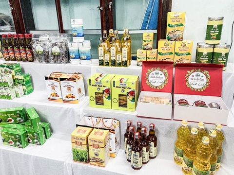 quang tri nang tam san pham ocop duoc lieu tai cam lo