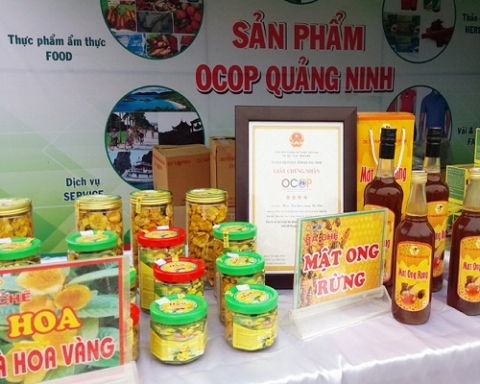 quang ninh lien ket nang tam gia tri san pham ocop