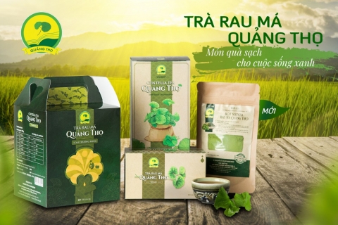 thua thien hue nang cao thuong hieu san pham ocop rau ma quang tho