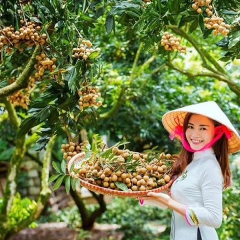 hung yen xuc tien thuong mai san pham cay co mui va san pham ocop