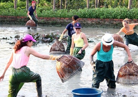 ve quang ninh du lich lang que yen duc