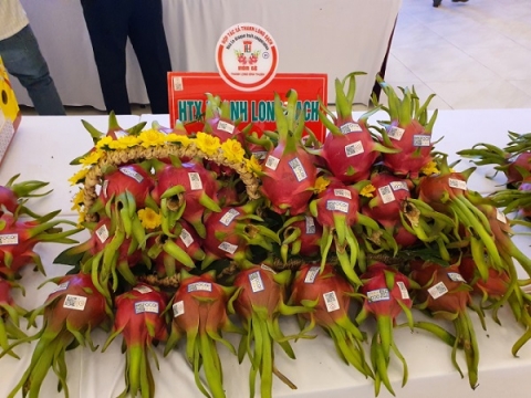 binh thuan day manh xuc tien thuong mai quang ba nang cao thuong hieu san pham