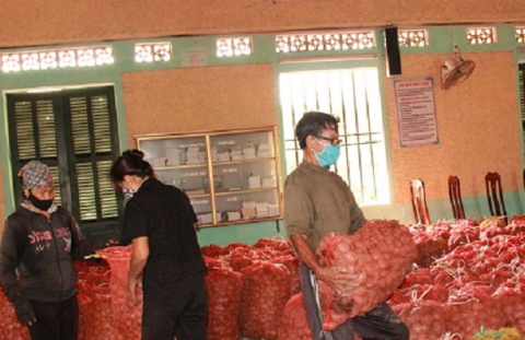 thai binh xay dung khoai tay thanh san pham ocop