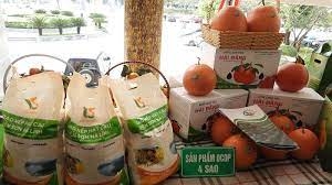 thanh hoa 38 san pham duoc cong nhan san pham ocop cap tinh