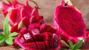 vinh phuc xay dung thuong hieu ocop cho thanh long ruot do