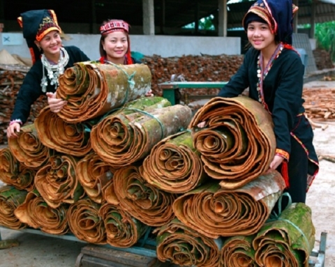 ocop yen bai cap giay chung nhan quyen su dung nhan hieu cho buoi che xanh va que vo kho tran yen