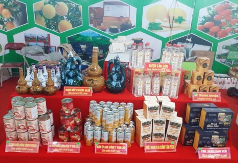 tren 2000 san pham ocop gan voi van hoa cac tinh nam bo duoc quang ba tai ha noi