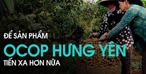 san pham ocop hung yen len san thuong mai dien tu