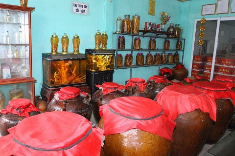 ruou hoang quan luu giu gia tri tinh tuy tren manh dat que huong