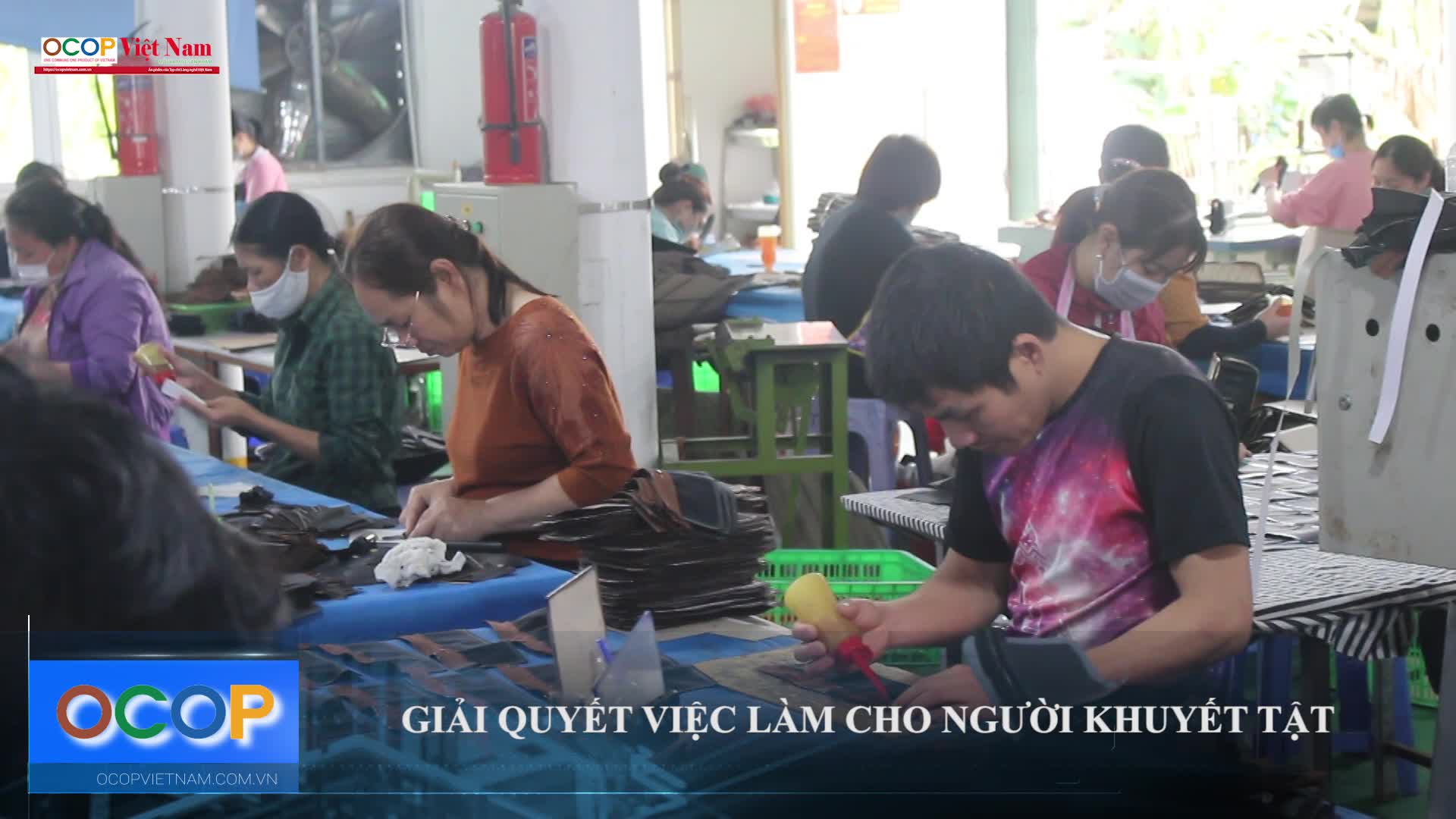 Giải quyết việc làm cho người khuyết tật